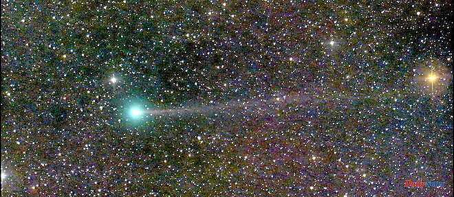 Comet Nishimura: now is the time to observe it