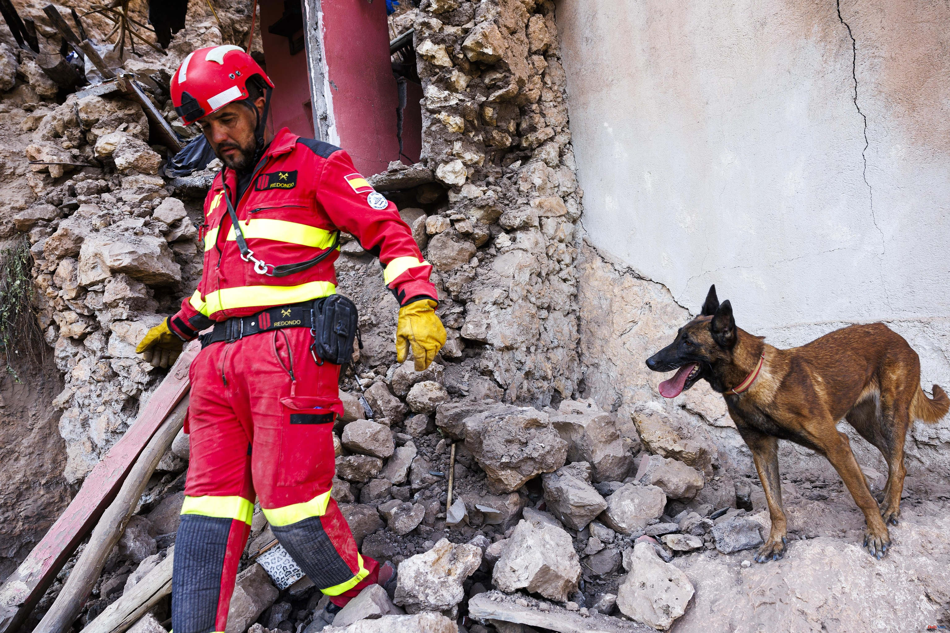 Persian earthquake, the most veteran rescue dog of the UME deployed in Morocco