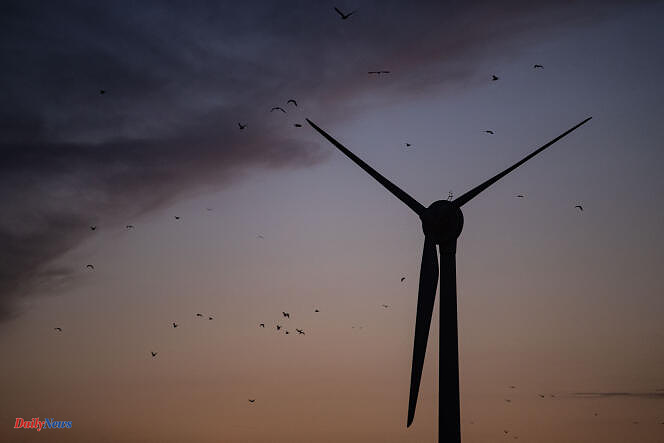 In the north of Hérault, justice demands the dismantling of a wind turbine field