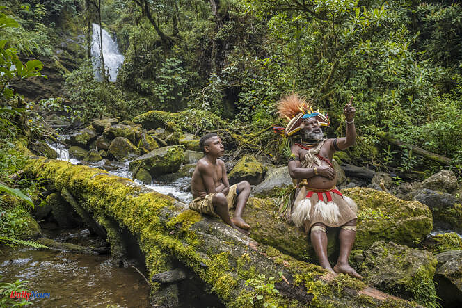 On Arte, five “Guardians of the forest” show the way to preserve the lungs of the planet