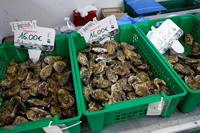 Ban on oysters from the Arcachon basin: the sale of shellfish authorized again by the Gironde prefecture