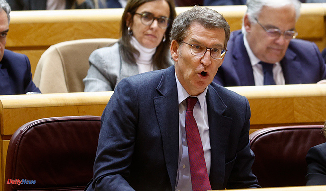 Politics Feijóo explodes against the agreement between Junts and the PSOE: "I would not have dedicated myself to politics if I had known it consisted of this"