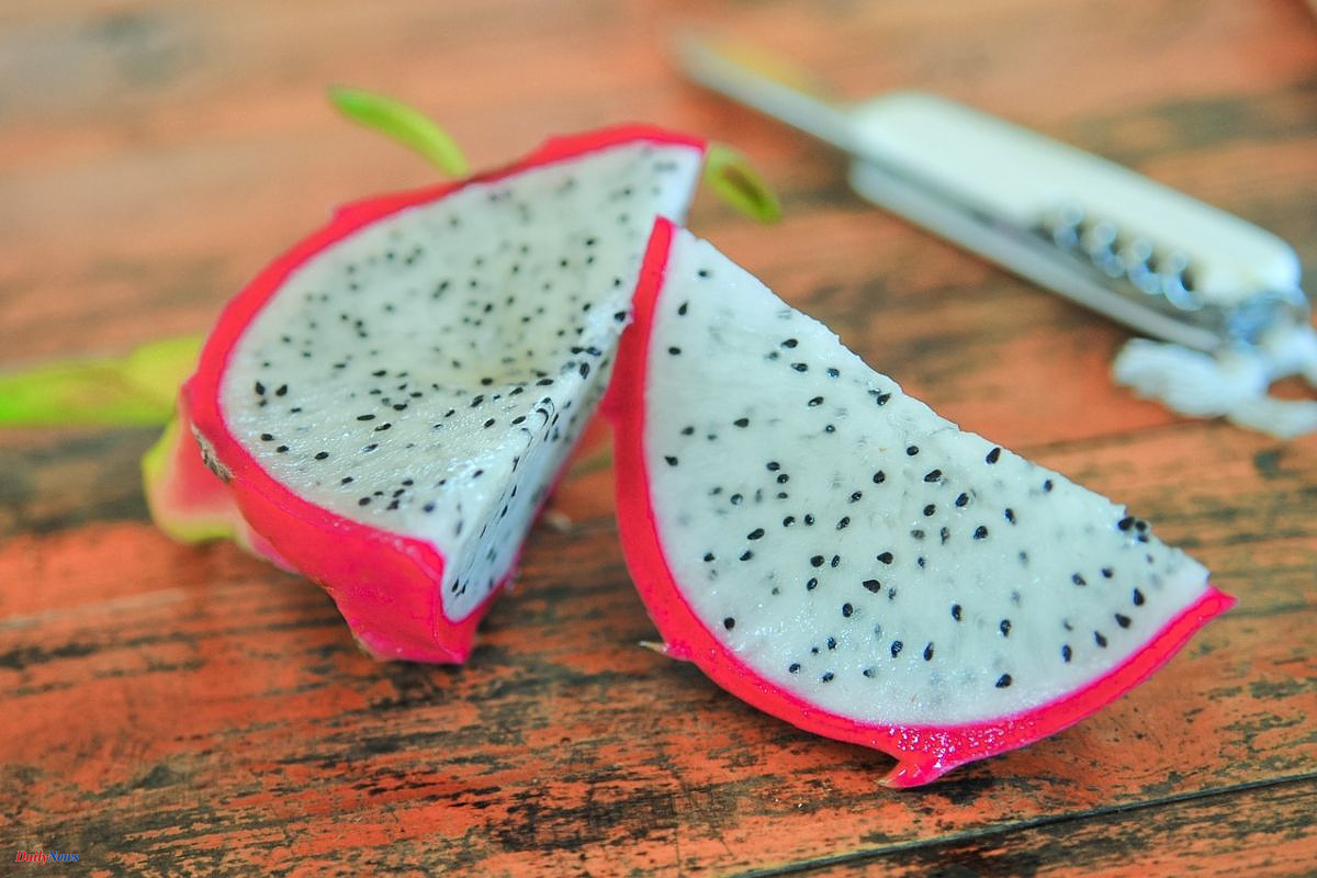 Curiosities Why is pitahaya known as dragon fruit?