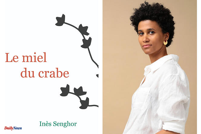 From the former Yugoslavia to Casamance, Inès Senghor’s first novel oscillates between “big” history and particular itineraries
