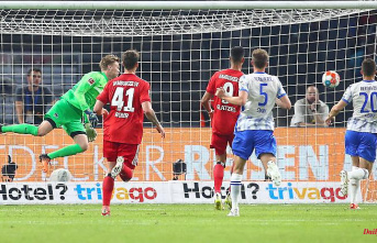 Hertha is teetering on relegation: art shot brings HSV very close to the Bundesliga