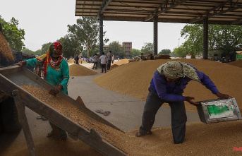 Struggles for grain deliveries: Africa in concern - Turkey wants to mediate