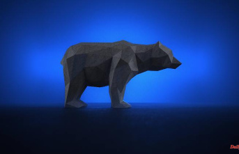 Turbulent stock markets: what to do in bear markets?