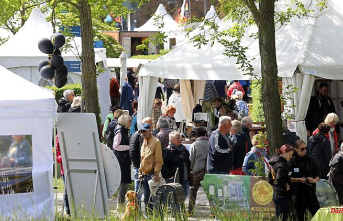 Mecklenburg-Western Pomerania: "Flair by the sea" for four days in Rostock's Iga Park