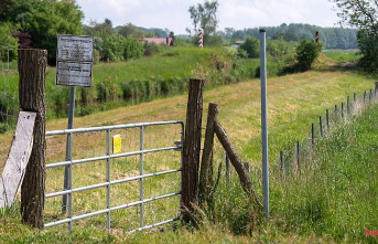 Mecklenburg-Western Pomerania: swine fever fence: four dead deer and deer in one year