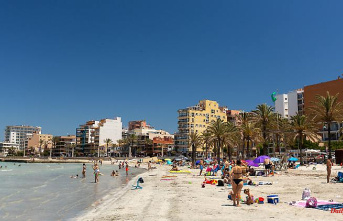 Suspicion of rape: Two Germans arrested in Mallorca