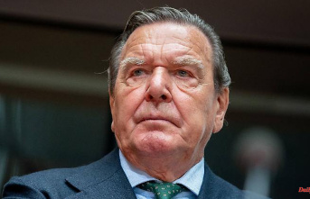 Former chancellor under criticism: EU Parliament calls for sanctions against Schröder