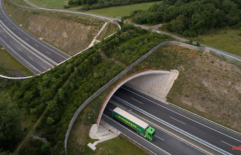 Baden-Württemberg: New green bridge planned near Niefern-Öschelbronn