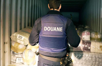 Loire-Atlantique - 364kg of cocaine were seized at Montoir-de-Bretagne