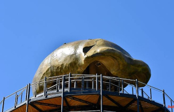 North Rhine-Westphalia: Neanderthal Tower opens in mid-September: replica skull
