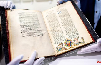 Spectacular find: Possible Dürer treasure discovered in ancient book