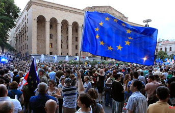 Own government to resign: tens of thousands of Georgians demonstrate for EU accession