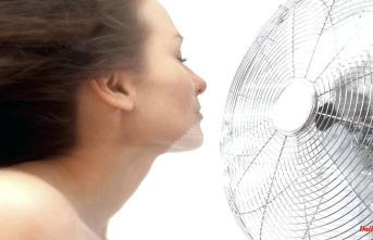 Do you want to cool down?: These fans are now the first choice