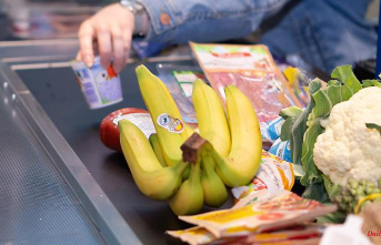 Record low for groceries: retail sales plummet