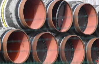 Pipes for liquid gas terminal: Is Germany expropriating parts of Nord Stream 2?