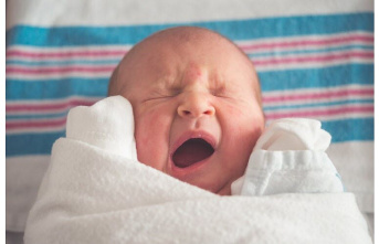 Science. What makes yawns contagious and why are they so common? The answer may be finally here