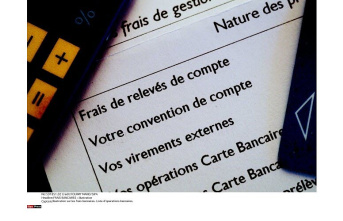 Silver. France has higher bank incident fees than neighboring countries.