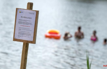 Saxony: Blue-green algae at the Bautzen dam: the office advises against swimming