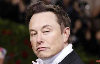 Balancing act of the multi-billionaire: Elon Musk - do-gooder or troll?