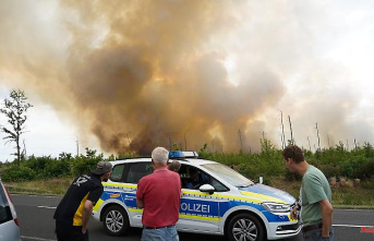 Detonations due to explosive ordnance: forest in Brandenburg burns - area of ​​84 football fields