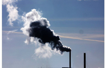 Environment/EU. Understanding the workings of the carbon market and the proposed reforms rejected by MEPs