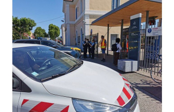Drome. Incident at Pierrelatte Station: Rail traffic was disrupted between Valence and Avignon this morning