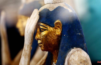 Statue by Architect Imhotep: Egypt Showcasing Treasure Trove of Artifacts