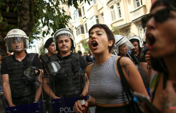 Hundreds of arrests in Istanbul: police crack down on Pride parade