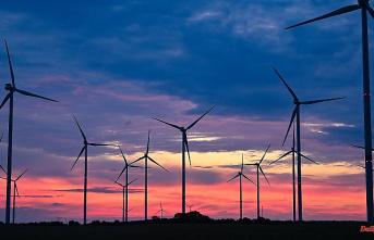 "Doubling the area": ​​Federal government wants to pave the way for wind power expansion