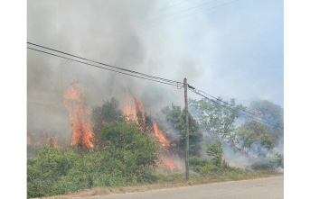Drome. Fire in Chateauneuf-du-Rhone: 50 firefighters mobilized