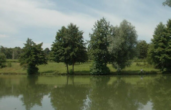 Seine et Marne. Fishing day becomes tragic when a father drowns right in front of his 6-year old son