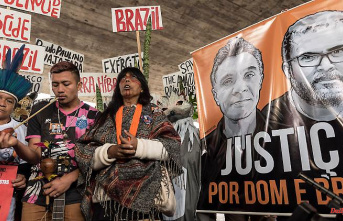 Murders in the Amazon: representation of Brazil's police raises doubts