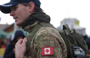 Above all, Americans and Britons: Volunteers from 55 countries are fighting for Ukraine