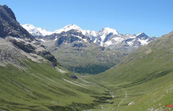 Danger for flora: climate change makes the Alps green
