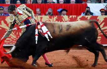 Historic decision: Court bans bullfighting in Mexico City
