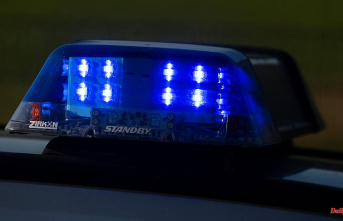 Body in the Brandenburg Forest: 41-year-old hunter arrested on suspicion of murder