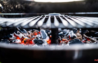 Fact check on environmental pollution: Are gas grills better for the climate than charcoal grills?