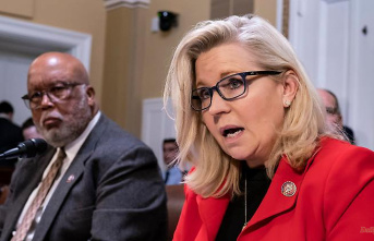 There is only one path to power: Liz Cheney could become Trump's nightmare