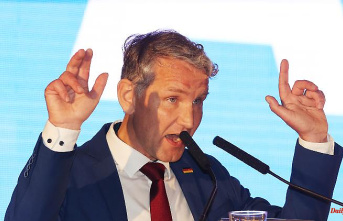 Shift to the right for the crisis party congress?: Höcke is probably aiming for a single AfD leadership