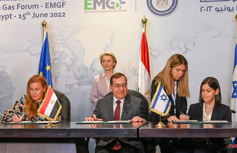 More independence from Russia: EU plans gas agreements with Israel and Egypt
