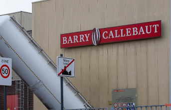 Belgian authorities investigate: Salmonella alarm paralyzes chocolate factory