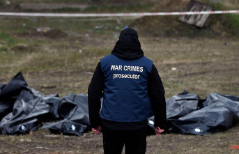 "A complex puzzle": BKA investigates Russian war criminals