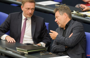 Stricter rules for corporations: Lindner advocates tightening of antitrust law