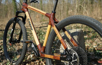 Striking, ecological, expensive: how does a bicycle made of bamboo ride?
