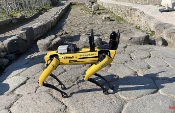 No substitute for humans: robot dog "Spot" roams through Pompeii