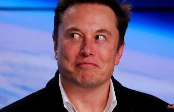 Information on fake accounts: Twitter probably gives in to pressure from Elon Musk
